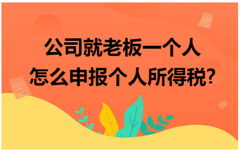 公司就老板一个人怎么申报个人所得税 会计实务