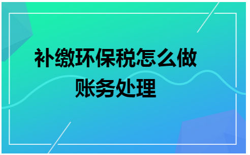 补缴环保税怎么做账务处理 会计实务