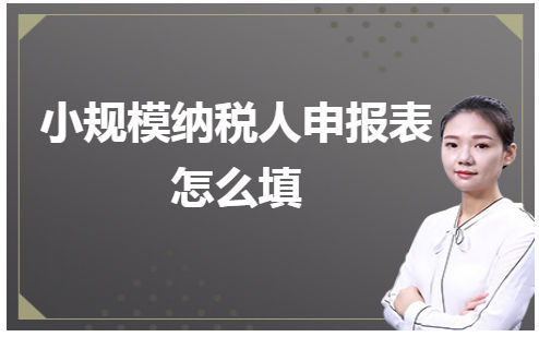 小规模纳税人申报表怎么填 会计实务