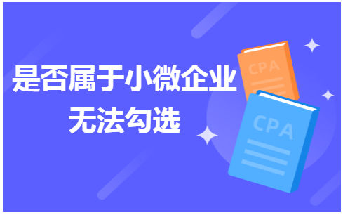 是否属于小微企业无法勾选 会计实务