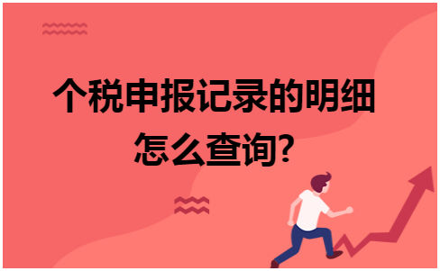 个税申报记录的明细怎么查询 会计实务