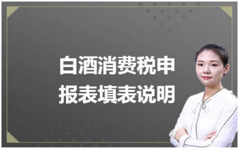 ​白酒消费税申报表填表说明 税法实务