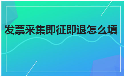 发票采集即征即退怎么填 税法实务