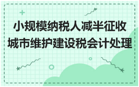 小规模纳税人减半征收城市维护建设税会计处理 税法实务