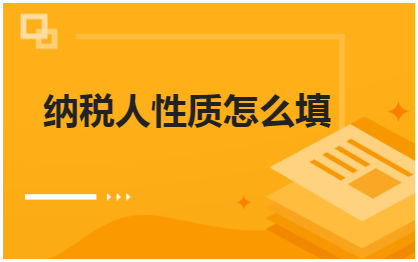 纳税人性质怎么填 税法实务