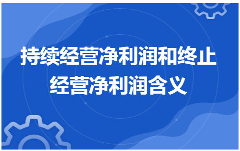 持续经营净利润和终止经营净利润含义 税法实务