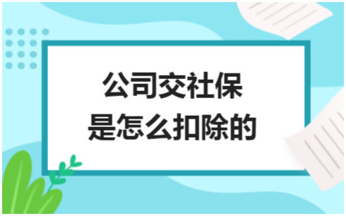 ​公司交社保是怎么扣除的 税法实务