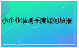 .小企业准则季度如何填报 税法实务