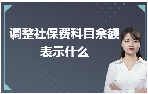 调整社保费科目余额表示什么 会计实务