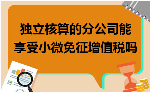 独立核算的分公司能享受小微免征增值税吗 会计实务