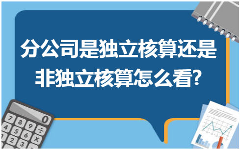 分公司是独立核算还是非独立核算怎么看? 会计实务