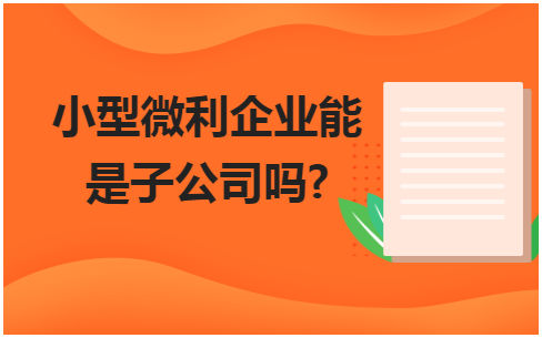 小型微利企业能是子公司吗? 会计实务