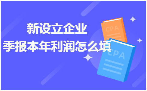 新设立企业季报本年利润怎么填 会计实务