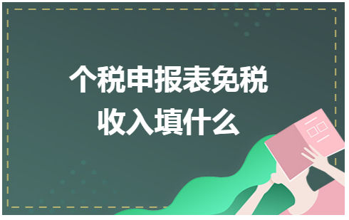 个税申报表免税收入填什么 会计实务