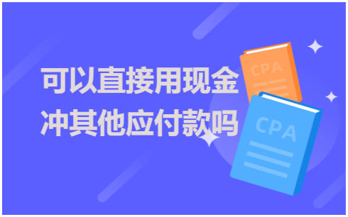 可以直接用现金冲其他应付款吗？ 会计实务