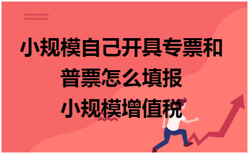 小规模自己开具专票和普票怎么填报小规模增值税 会计实务