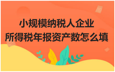 小规模纳税人企业所得税年报资产数怎么填？ 会计实务