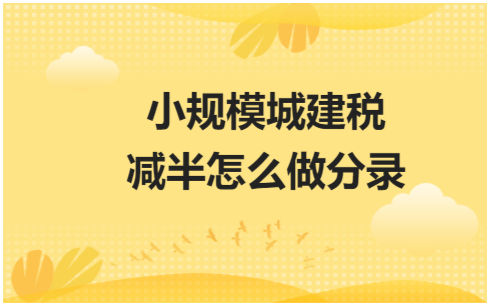 小规模城建税减半怎么做分录？ 会计实务