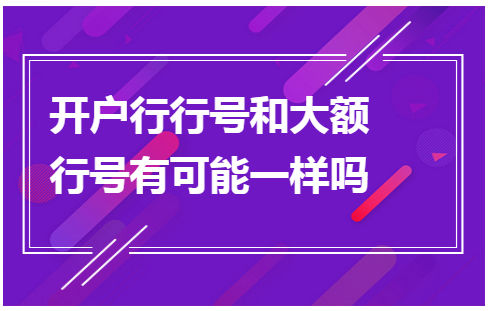 开户行行号和大额行号有可能一样吗 会计实务