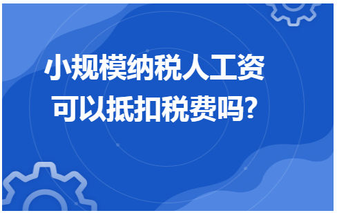 小规模纳税人工资可以抵扣税费吗 会计实务