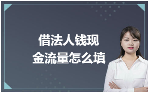 ​借法人钱现金流量怎么填 会计实务