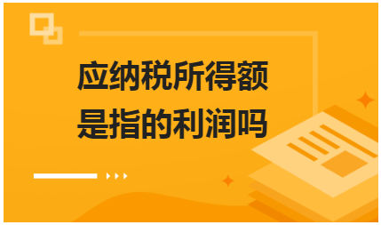 应纳税所得额是指的利润吗 会计实务