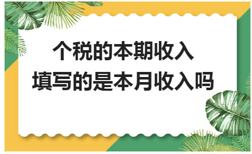 个税的本期收入填写的是本月收入吗 会计实务