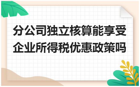 分公司独立核算能享受企业所得税优惠政策吗 会计实务