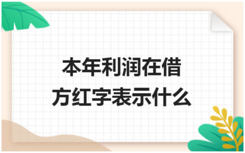 ​本年利润在借方红字表示什么 会计实务