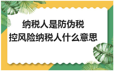 纳税人是防伪税控风险纳税人什么意思 会计实务