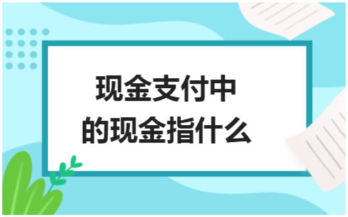 ​现金支付中的现金指什么 会计实务